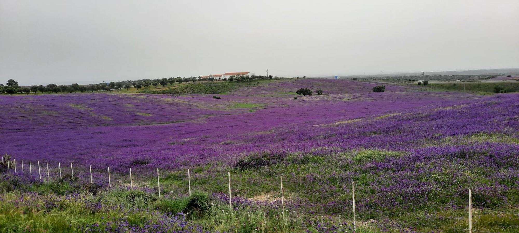 Landhuis El Refugio *